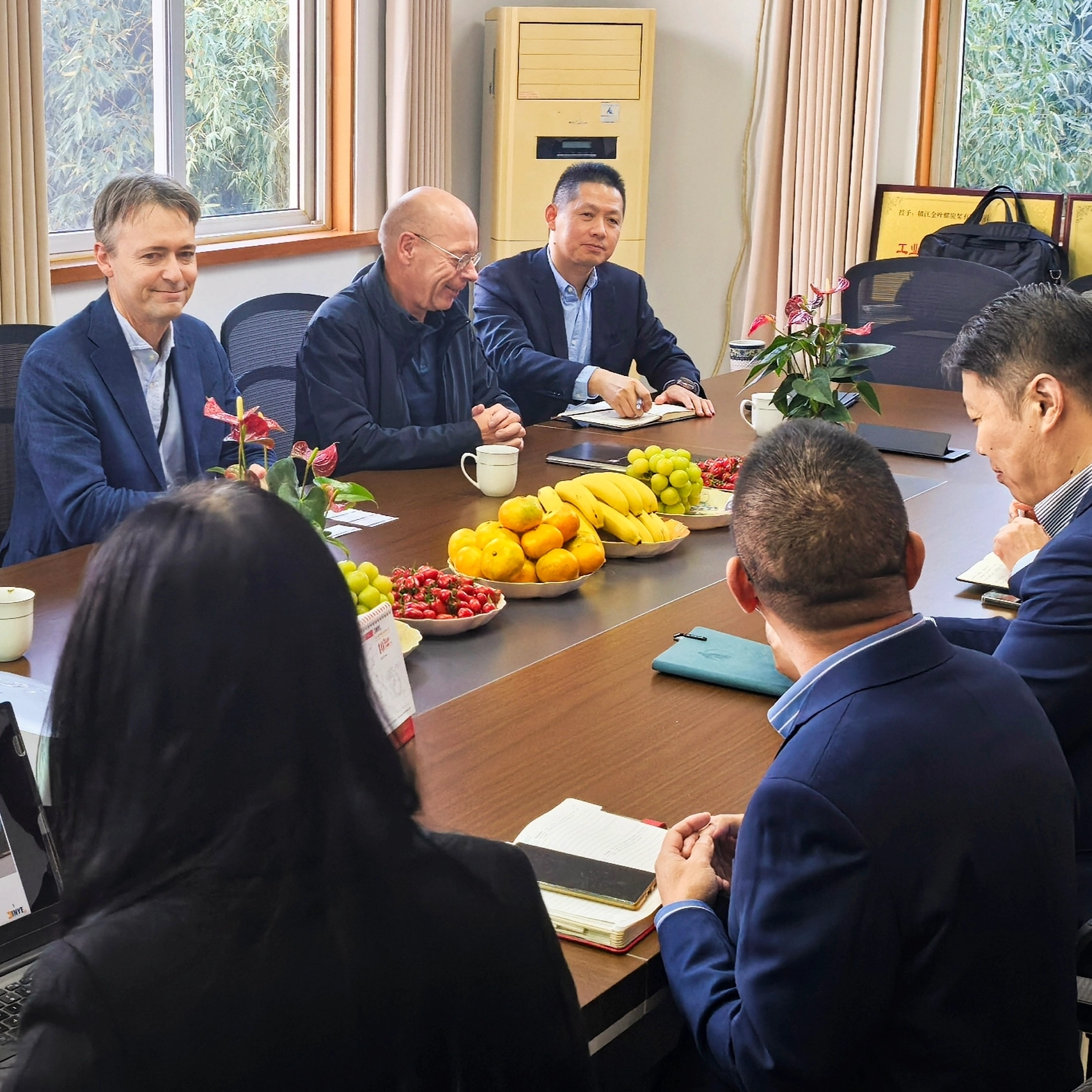 M. Bernd Bertram, vice-président de l'entreprise de propulsion Marine Power Wartsila, et son équipe ont visité Zhenjiang Jinye Propeller Co., Ltd le 7 novembre 2024.